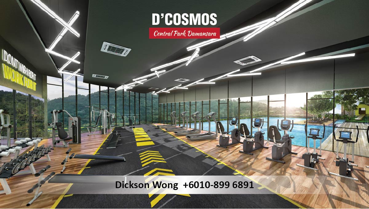 D Cosmos Vitality Gym